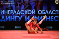 Чемпионат Ленинградской области по бодибилдингу - 2026