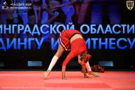 Чемпионат Ленинградской области по бодибилдингу - 2026