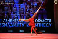 Чемпионат Ленинградской области по бодибилдингу - 2026