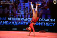 Чемпионат Ленинградской области по бодибилдингу - 2026