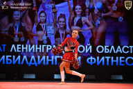 Чемпионат Ленинградской области по бодибилдингу - 2026