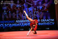 Чемпионат Ленинградской области по бодибилдингу - 2026