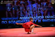 Чемпионат Ленинградской области по бодибилдингу - 2026