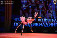 Чемпионат Ленинградской области по бодибилдингу - 2026