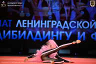 Чемпионат Ленинградской области по бодибилдингу - 2026