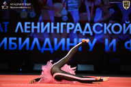 Чемпионат Ленинградской области по бодибилдингу - 2026