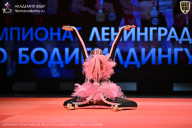 Чемпионат Ленинградской области по бодибилдингу - 2026