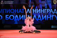 Чемпионат Ленинградской области по бодибилдингу - 2026