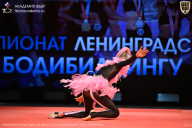Чемпионат Ленинградской области по бодибилдингу - 2026