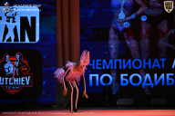 Чемпионат Ленинградской области по бодибилдингу - 2026
