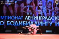 Чемпионат Ленинградской области по бодибилдингу - 2026