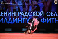 Чемпионат Ленинградской области по бодибилдингу - 2026