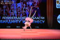 Чемпионат Ленинградской области по бодибилдингу - 2026