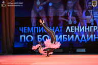 Чемпионат Ленинградской области по бодибилдингу - 2026