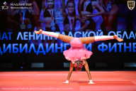 Чемпионат Ленинградской области по бодибилдингу - 2026