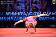 Чемпионат Ленинградской области по бодибилдингу - 2026