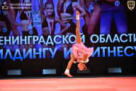 Чемпионат Ленинградской области по бодибилдингу - 2026