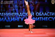 Чемпионат Ленинградской области по бодибилдингу - 2026