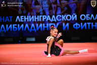 Чемпионат Ленинградской области по бодибилдингу - 2026