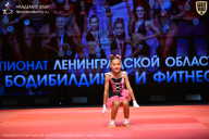 Чемпионат Ленинградской области по бодибилдингу - 2026