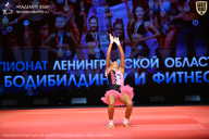 Чемпионат Ленинградской области по бодибилдингу - 2026
