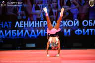 Чемпионат Ленинградской области по бодибилдингу - 2026