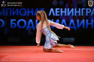 Чемпионат Ленинградской области по бодибилдингу - 2026