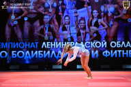 Чемпионат Ленинградской области по бодибилдингу - 2026