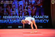 Чемпионат Ленинградской области по бодибилдингу - 2026