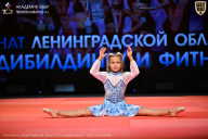 Чемпионат Ленинградской области по бодибилдингу - 2026