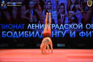 Чемпионат Ленинградской области по бодибилдингу - 2026