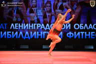 Чемпионат Ленинградской области по бодибилдингу - 2026