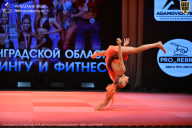 Чемпионат Ленинградской области по бодибилдингу - 2026