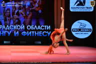 Чемпионат Ленинградской области по бодибилдингу - 2026