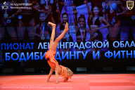 Чемпионат Ленинградской области по бодибилдингу - 2026