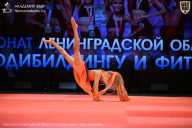 Чемпионат Ленинградской области по бодибилдингу - 2026
