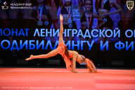 Чемпионат Ленинградской области по бодибилдингу - 2026