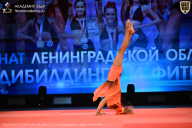 Чемпионат Ленинградской области по бодибилдингу - 2026