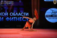 Чемпионат Ленинградской области по бодибилдингу - 2026