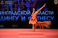 Чемпионат Ленинградской области по бодибилдингу - 2026