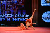 Чемпионат Ленинградской области по бодибилдингу - 2026