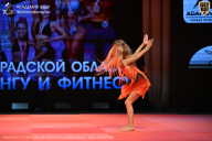 Чемпионат Ленинградской области по бодибилдингу - 2026