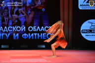 Чемпионат Ленинградской области по бодибилдингу - 2026