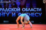 Чемпионат Ленинградской области по бодибилдингу - 2026