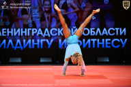 Чемпионат Ленинградской области по бодибилдингу - 2026