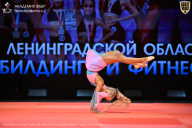 Чемпионат Ленинградской области по бодибилдингу - 2026