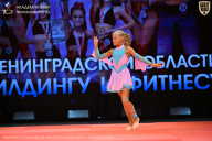 Чемпионат Ленинградской области по бодибилдингу - 2026