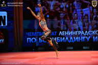 Чемпионат Ленинградской области по бодибилдингу - 2026
