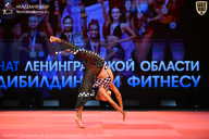 Чемпионат Ленинградской области по бодибилдингу - 2026