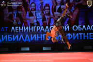 Чемпионат Ленинградской области по бодибилдингу - 2026